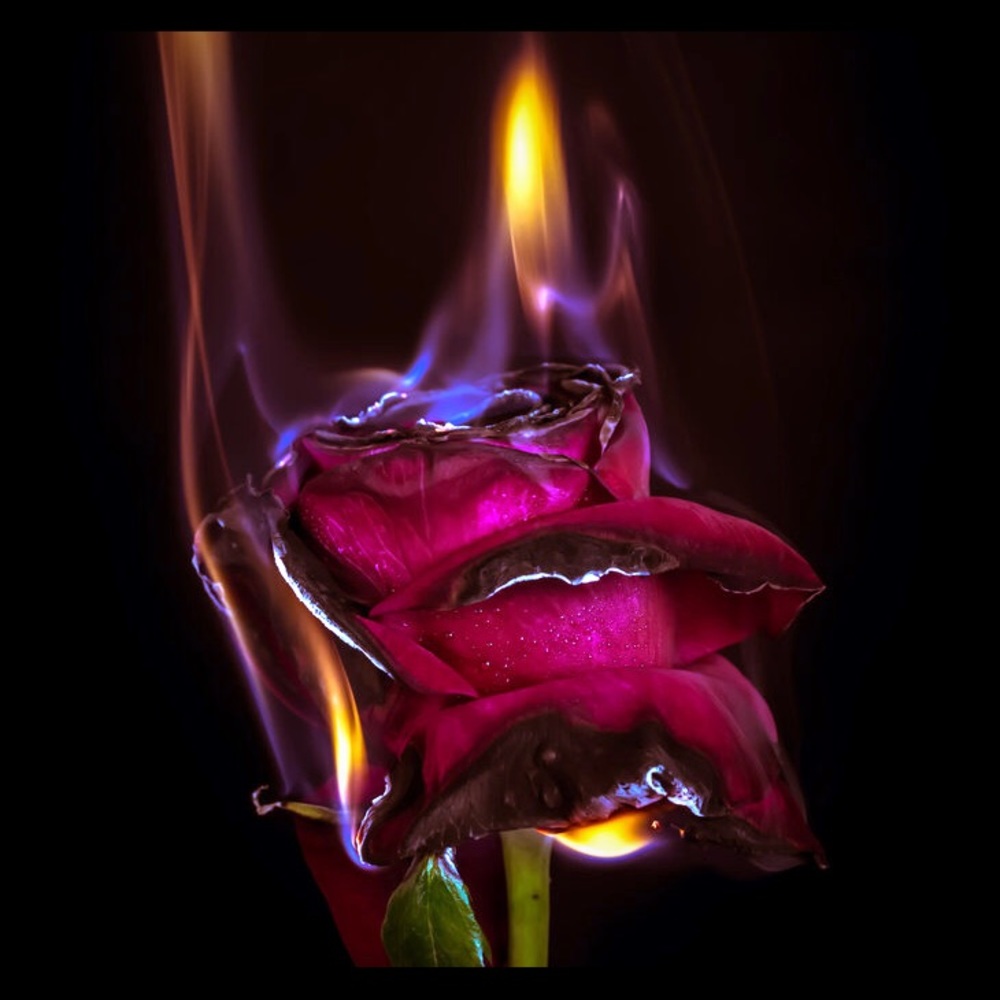 Meet your Posher, Kenzie